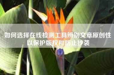 如何选择在线检测工具辨别文章原创性以保护版权和防止抄袭