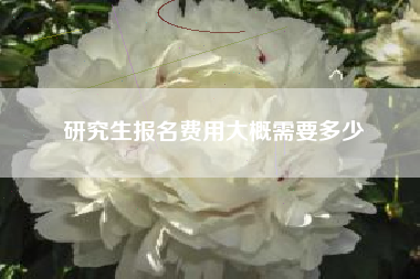 研究生报名费用大概需要多少