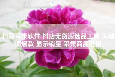抖霸采集软件-抖店无货源选品工具-关键词爆款-显示销量-采集商品链接