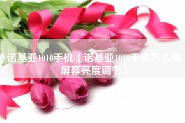 诺基亚1010手机（诺基亚1010手机怎么调屏幕亮度调节）