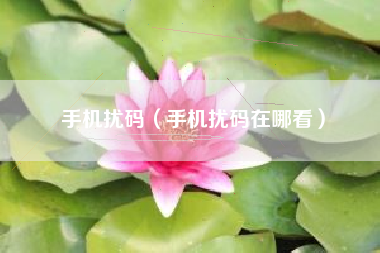 手机扰码（手机扰码在哪看）
