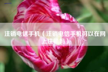 注销电信手机（注销电信手机可以在网上注销吗）