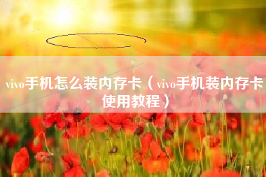 vivo手机怎么装内存卡（vivo手机装内存卡使用教程）