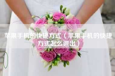 苹果手机的快捷方式（苹果手机的快捷方式怎么退出）