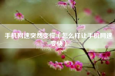手机网速突然变慢（怎么样让手机网速变快）