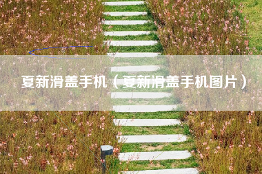 夏新滑盖手机（夏新滑盖手机图片）