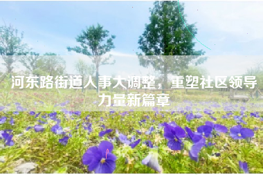 河东路街道人事大调整，重塑社区领导力量新篇章