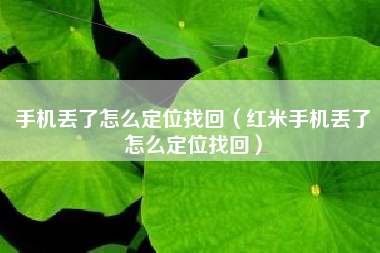手机丢了怎么定位找回（红米手机丢了怎么定位找回）