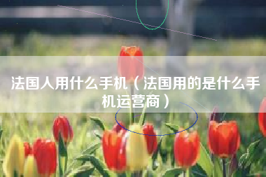 法国人用什么手机（法国用的是什么手机运营商）