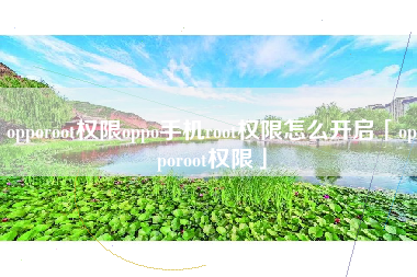 opporoot权限oppo手机root权限怎么开启「opporoot权限」