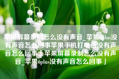 苹果屏幕录制怎么没有声音_苹果6plus没有声音怎么回事苹果手机打电话没有声音怎么回事「苹果屏幕录制怎么没有声音_苹果6plus没有声音怎么回事」