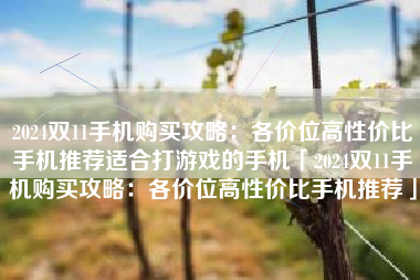 2024双11手机购买攻略：各价位高性价比手机推荐适合打游戏的手机「2024双11手机购买攻略：各价位高性价比手机推荐」