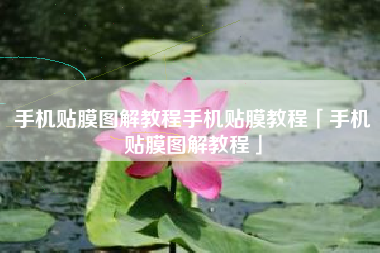 手机贴膜图解教程手机贴膜教程「手机贴膜图解教程」