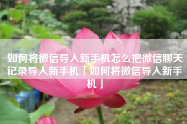 如何将微信导入新手机怎么把微信聊天记录导入新手机「如何将微信导入新手机」