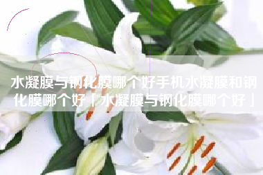 水凝膜与钢化膜哪个好手机水凝膜和钢化膜哪个好「水凝膜与钢化膜哪个好」