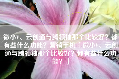 微小V、云创通与腾领袖那个比较好？都有些什么功能？营销手机「微小V、云创通与腾领袖那个比较好？都有些什么功能？」