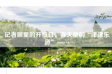 记者眼里的开放日，春天里的“津津乐道”……