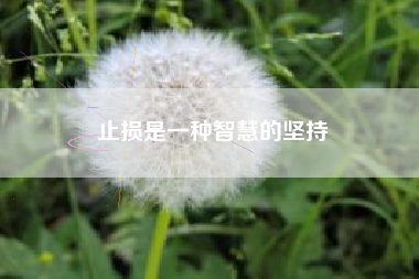 止损是一种智慧的坚持