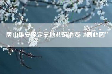 房山雄安保定三地共筑消费“同心圆”