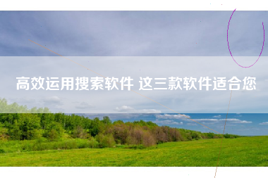 高效运用搜索软件 这三款软件适合您