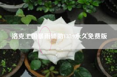 洛克王国暴雨辅助V37.9永久免费版 洛克王国暴雨辅助V37.9永久免费版