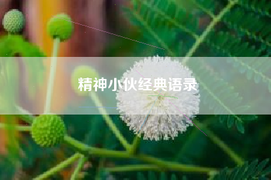 精神小伙经典语录